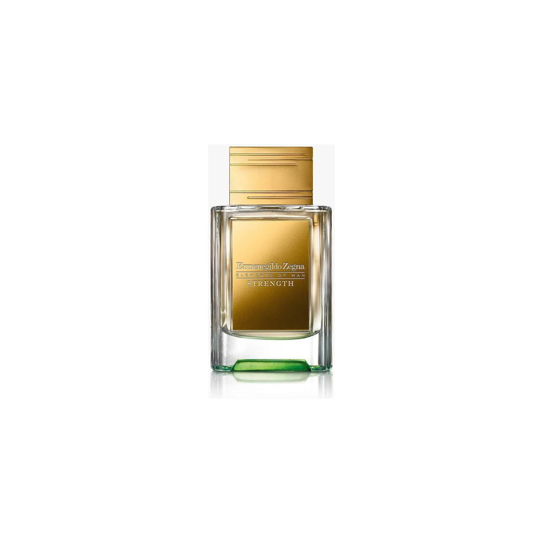Ermenegildo Zegna Elements Of Man Strength Sample/Decants - Snap Perfumes